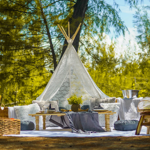 Luxury picnic setup in forest nature