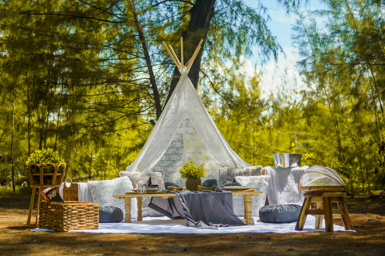 Luxury picnic setup in forest nature