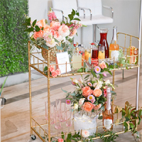 A mimosa bar Cart