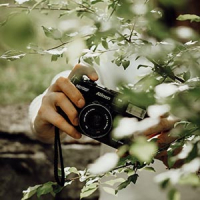 a person photoshooting with a camera behind some bushes