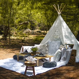 a luxury picnic set up inside a forest on a sunny day.